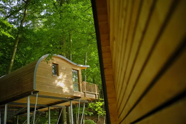 Bild: Für die Sonnenhotels kann das neue Sommermärchen beginnen