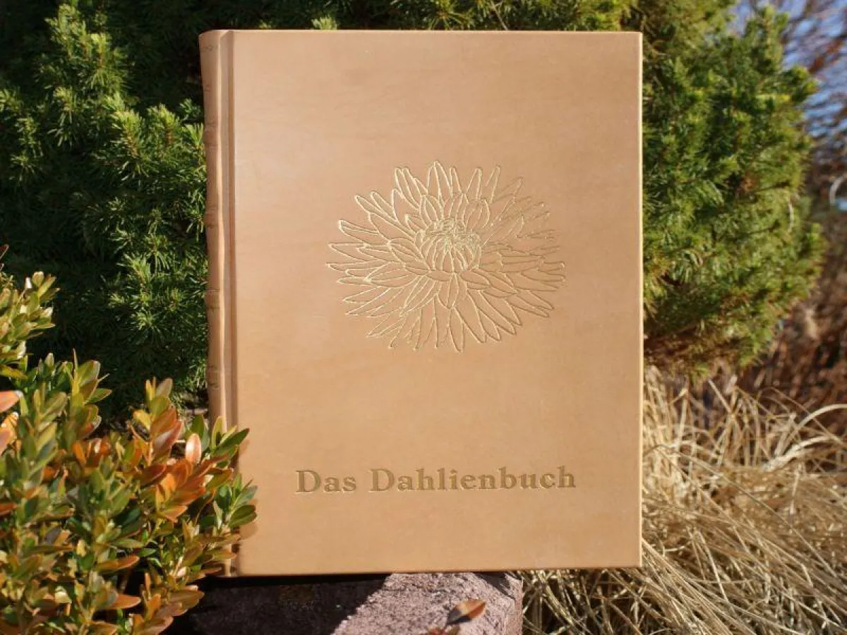 Das Dahlienbuch