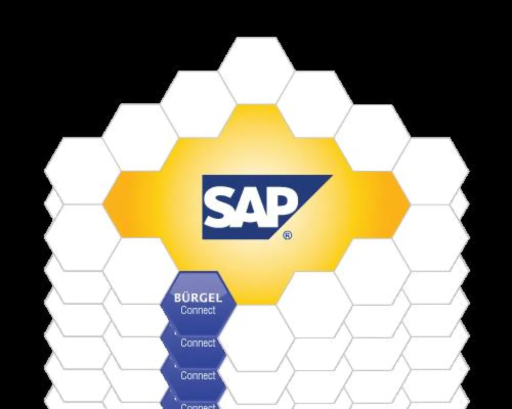 Bürgel Connect für SAP