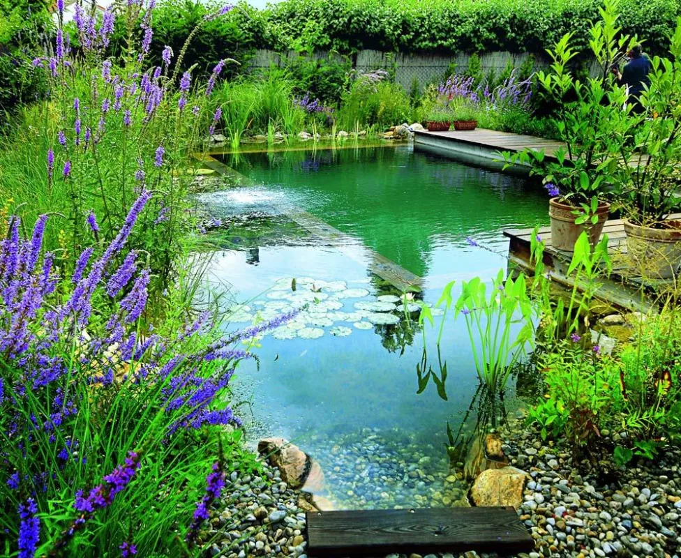 Schwimmteiche ermöglichen natürlichen Badespaß im eigenen Garten. Foto: swimming-teich.com./immowelt.de