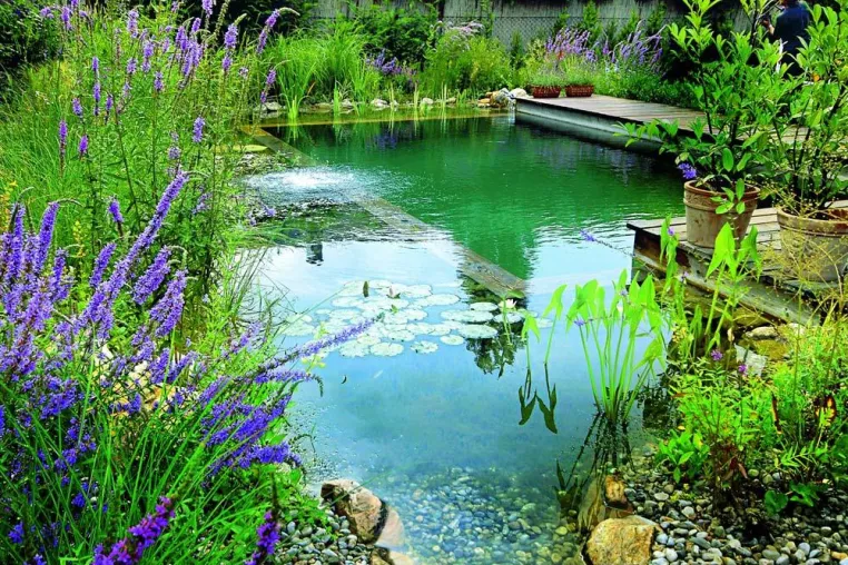Bild: Schwimmteich und Biopool: Natürlicher Badespaß im eigenen Garten