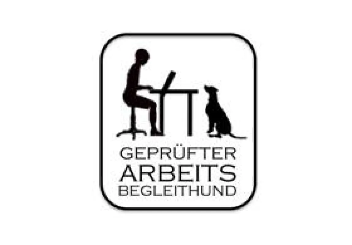 Deutschlands erster offizieller Bürohund