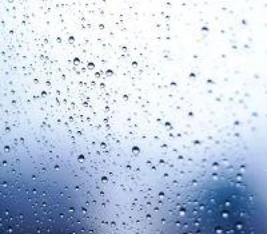 Trocknen von Erzeugnissen mit Ventilatoren oder Seitenkanalverdichtern Bild: Trocknen von Erzeugnissen mit Ventilatoren oder Seitenkanalverdichtern