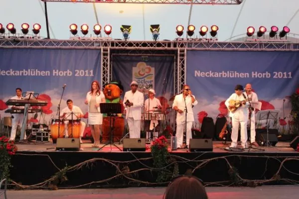 Bild: Spanische Nacht beim Neckarblühen in Horb