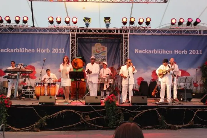 Bild: Spanische Nacht beim Neckarblühen in Horb