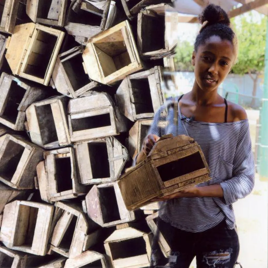 Copyright Norma Drimmer