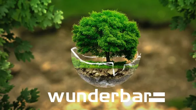 Bild: wunderbar erhält Zertifizierung im Umweltmanagement nach DIN EN ISO 14001