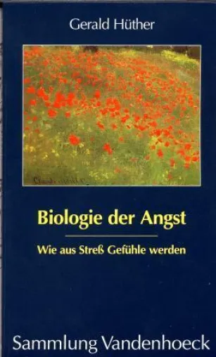 Bild: Gerald Hüther - »Kinder tragen diese Kraft, sich dem Leben stellen zu wollen, noch in sich«