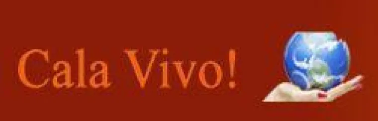 Cala Vivo! reloaded - Beliebtes Lifestyle-Portal mit neuem Layout Bild: Cala Vivo! reloaded - Beliebtes Lifestyle-Portal mit neuem Layout