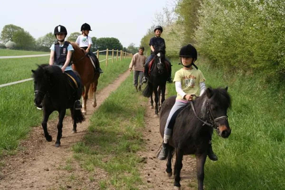 Reiterferien in Schleswig-Holstein. Foto: Ingken Wehrmeyer