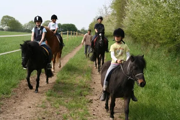 Bild: Reiterferien für Kinder in Schleswig-Holstein