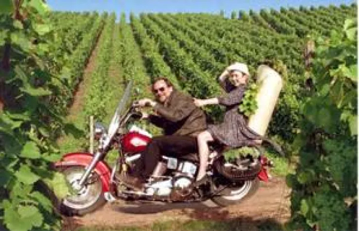 Bild: Gunderloch neu bei BELVINI.DE