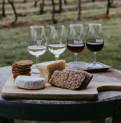 Bild: Worauf ist bei der Kombination von Käse und Wein zu achten?