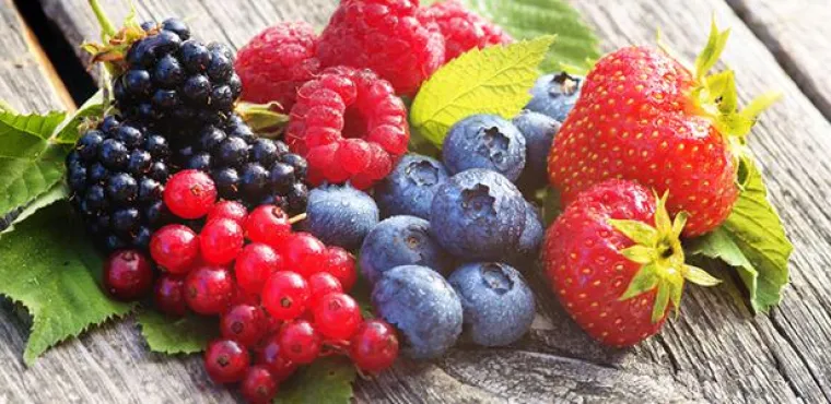 Bild: Antioxidatives Ernährungs-Potential und das Risiko für Schlaganfälle