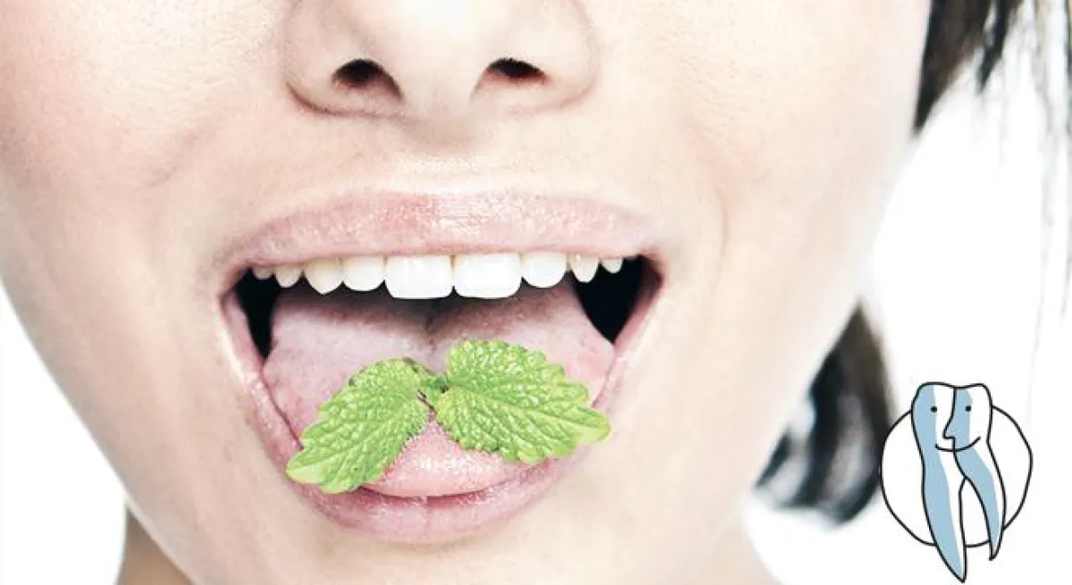 Lebensmittel gegen Mundgeruch (Foto: © benik.at - Fotolia.com)