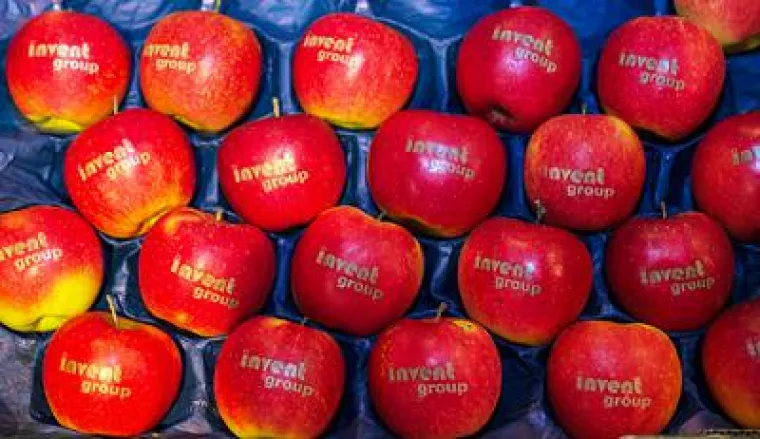 Bild: Windows 10 war nicht das einzige Highlight des 1. IT Vision Days