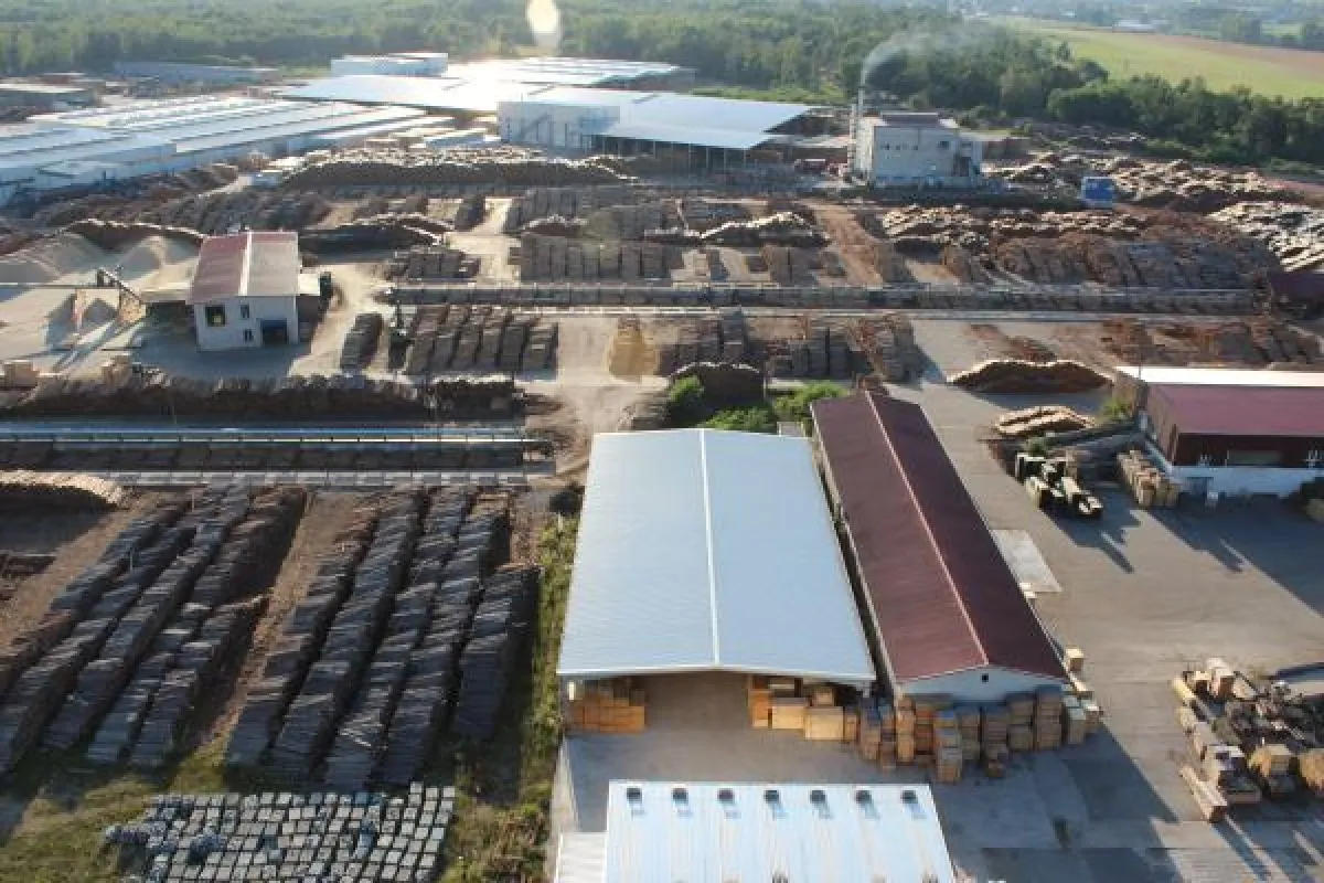 Holzindustrie Torgau