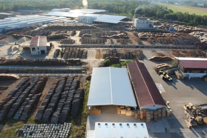 Bild: 5.000 Gäste beim Sommerfest der Holzindustrie Torgau (HIT)