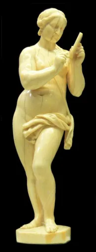 Was eine Tochter des Zeus mit Würmern gemeinsam hat Bild: Was eine Tochter des Zeus mit Würmern gemeinsam hat