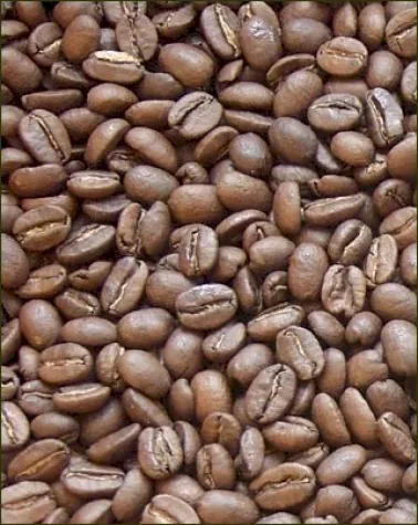 Bild: Kaffee: Wunderwaffe gegen Karies? – Trigonellin ist der Schlüssel