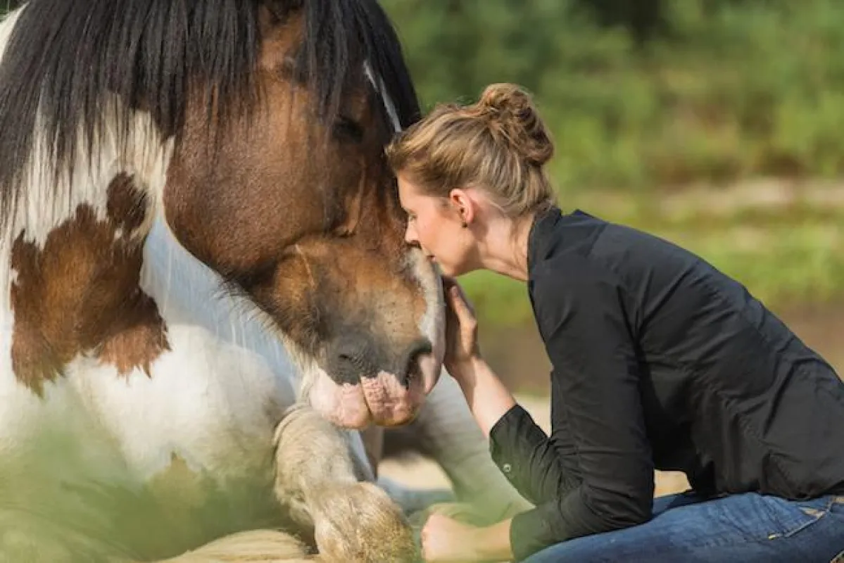pferd_mensch_beziehung_ © Scheytt Photography