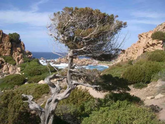 Bild: Reisen in Jan Weilers Süditalien