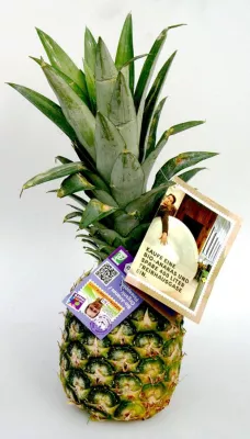 Bild: Was unser Essen wirklich kostet: Bio-Ananas wird zum Botschafter für mehr Preistransparenz