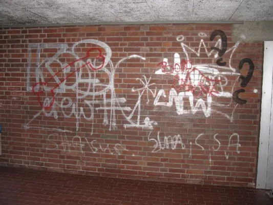 Bild: Erschreckende Gleichgültigkeit zum Thema "Sauberkeit in unserer Stadt"