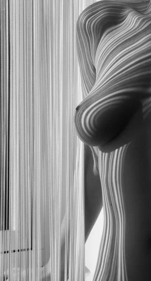 (c) Galerie Norbert Nieser