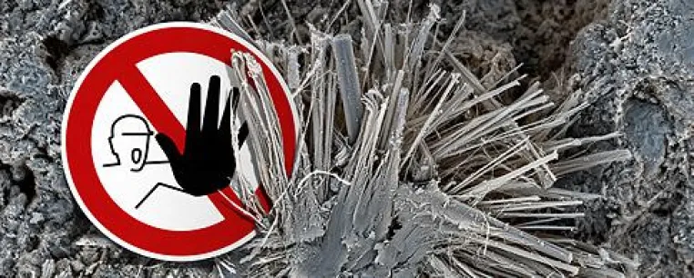 24. Forum Asbest und andere Schadstoffe in technischen Anlagen und Bauwerken Bild: 24. Forum Asbest und andere Schadstoffe in technischen Anlagen und Bauwerken