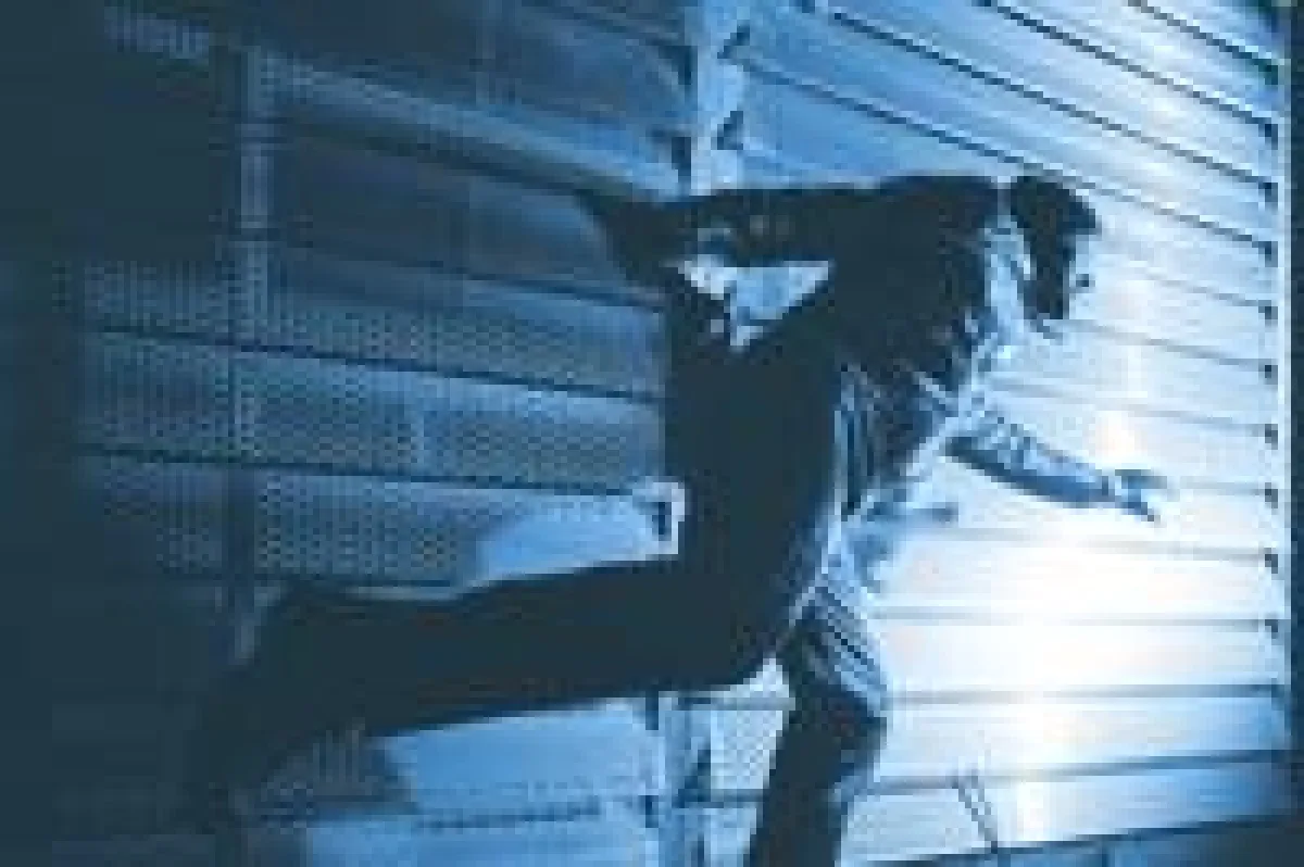 Langfinger lieben die Urlaubszeit. Verderben Sie ihnen den Spaß!