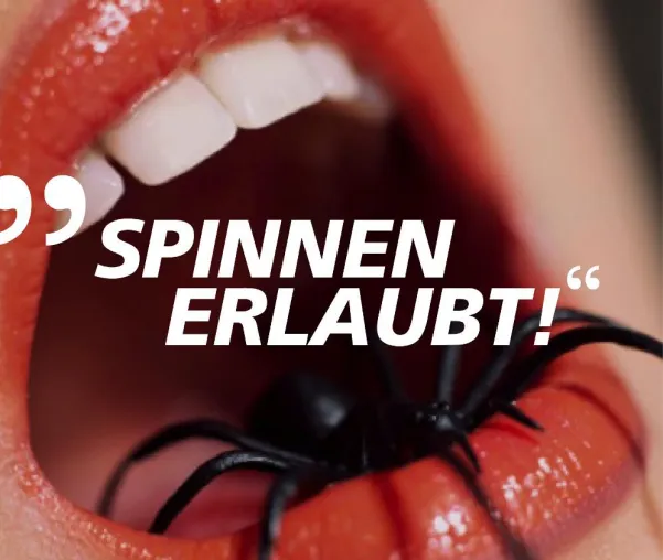 Bild: SPINNEN ERLAUBT! Think outside the box