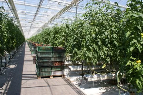 Bild: Marktneuheit: nachhaltige Gemüse-Grow Bags von Kleeschulte Erden entlasten Umwelt