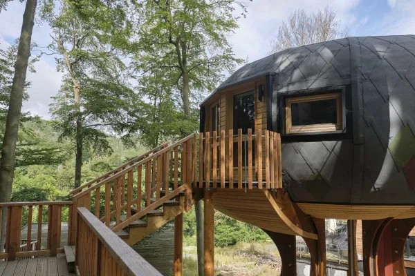 Bild: Früh buchen, früh freuen