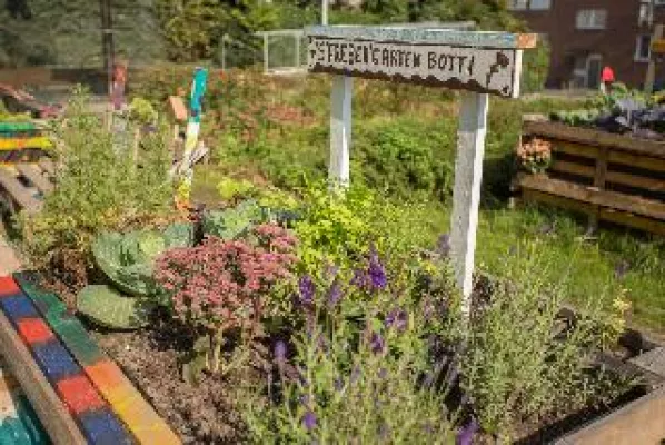 So geht Radieschen ziehen in der Stadt – Infotag für neue Bürgergärten Bild: So geht Radieschen ziehen in der Stadt – Infotag für neue Bürgergärten