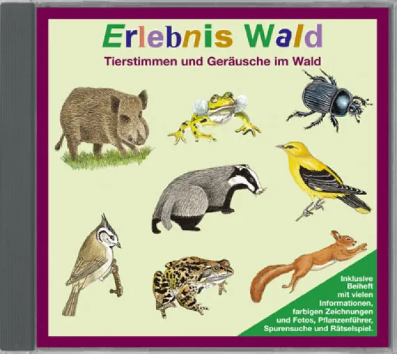 Erlebnis Wald - Tierstimmen und Geräusche im Wald Bild: Erlebnis Wald - Tierstimmen und Geräusche im Wald