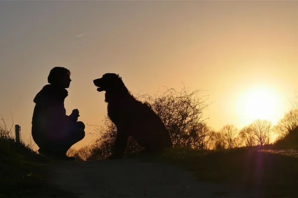 Tierheimsponsoring als Ausdruck der Mensch-Tier-Beziehung Bild: Tierheimsponsoring als Ausdruck der Mensch-Tier-Beziehung