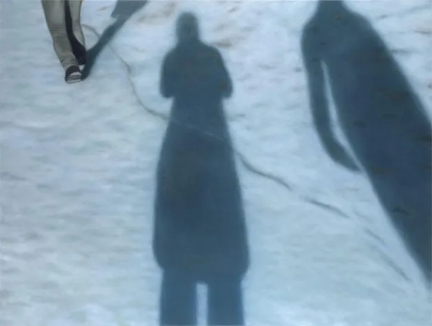 Bild: anne pincus - the latitude of shadows