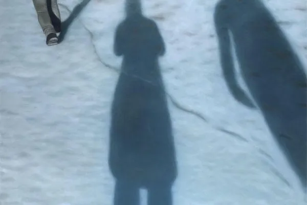 Bild: anne pincus - the latitude of shadows