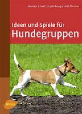 Bild: Ideen und Spiele für Hundegruppen - Hundekurse sinnvoll gestalten