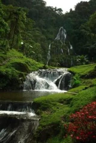 Kolumbiens Kaffeedreieck – eine einzigartige Kulturlandschaft Ausflüge im Weltkulturerbe Bild: Kolumbiens Kaffeedreieck – eine einzigartige Kulturlandschaft Ausflüge im Weltkulturerbe