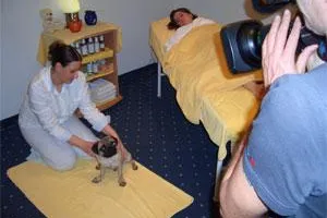 Bild: Hunde-Wellness, der Renner in Bad Dürkheim
