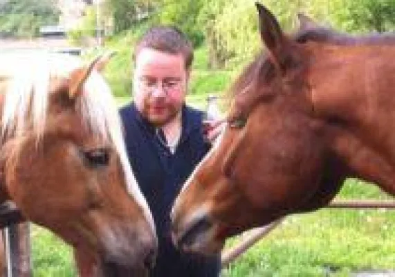 Bild: Pferdefütterung im Frühling- vom Stall auf die Weide
