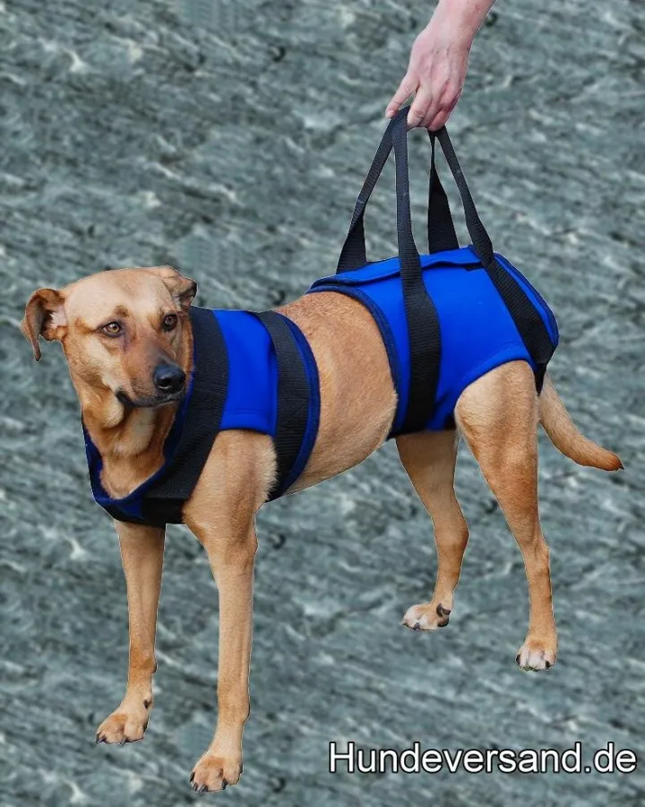 Spezialgeschirr für die Hinterhand