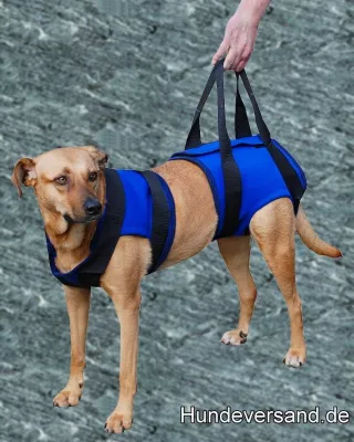 Bild: Hilfsgeschirre für alte und kranke Hunde