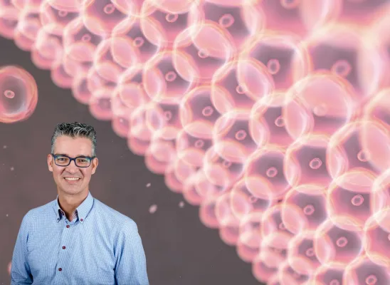 Bild: Das Pantoffeltierchen-Prinzip