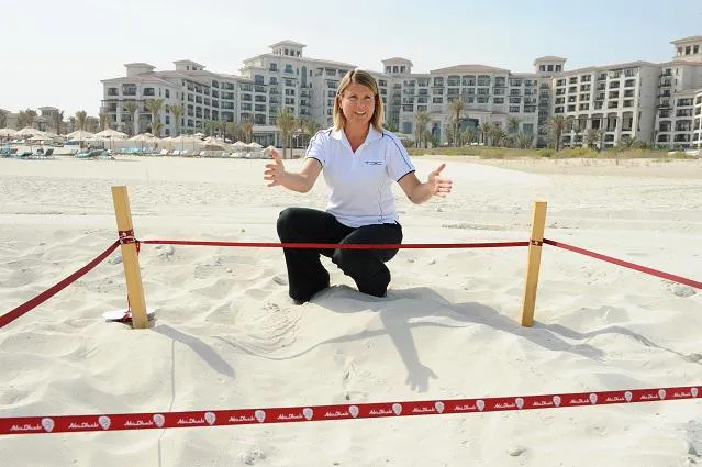 In Abu Dhabi beginnt die Schildkröten-Nistzeit Bild: In Abu Dhabi beginnt die Schildkröten-Nistzeit
