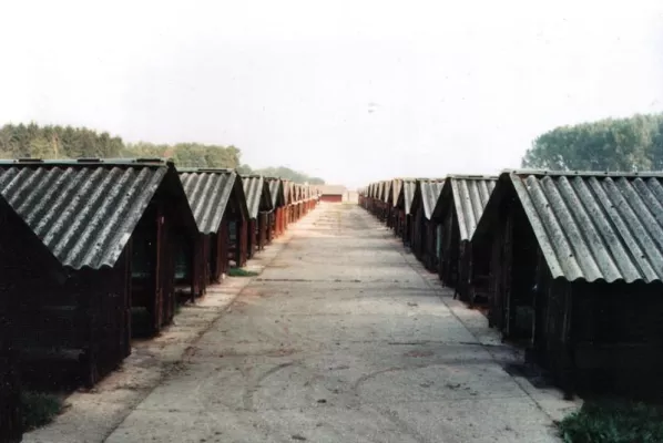 Die Käfige sind voll besetzt – nun vegetieren die Tiere in Orsbach der Vergasung entgegen Bild: Die Käfige sind voll besetzt – nun vegetieren die Tiere in Orsbach der Vergasung entgegen