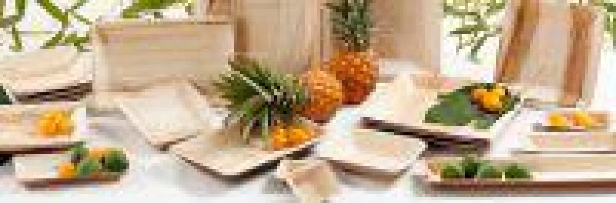 Palmblattgeschirr vom Partygeschirr-Shop