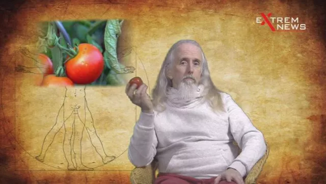 Fernheilen per Video: Beweist eine Tomate die Existenz von Gott? Bild: Fernheilen per Video: Beweist eine Tomate die Existenz von Gott?